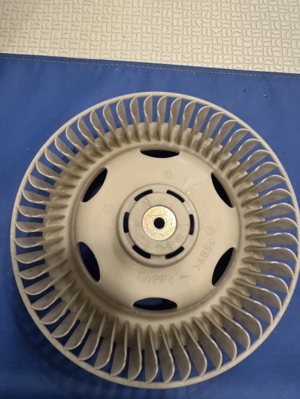 S__67010587